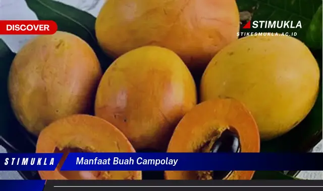 manfaat buah campolay manfaat buah campolay