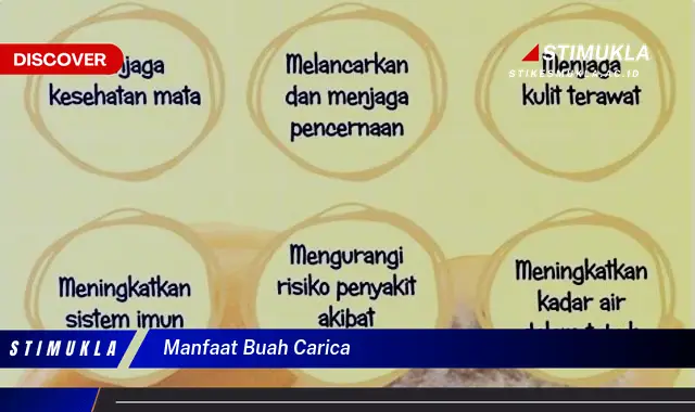 manfaat buah carica