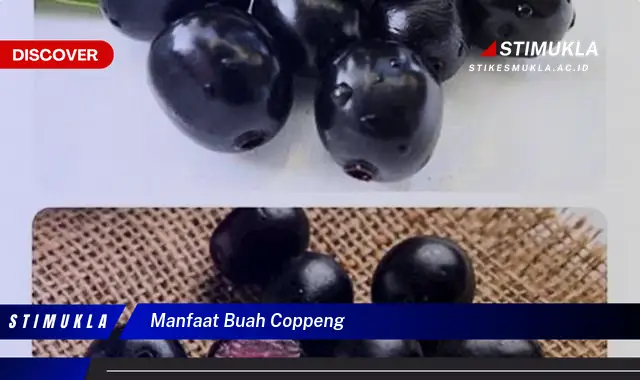 manfaat buah coppeng