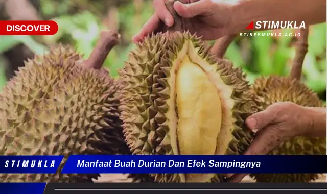 manfaat buah durian dan efek sampingnya