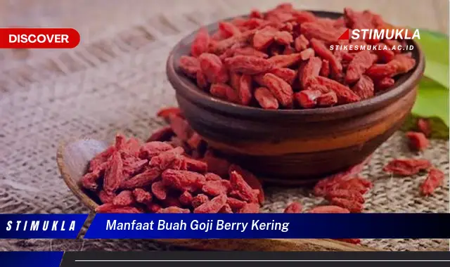 manfaat buah goji berry kering