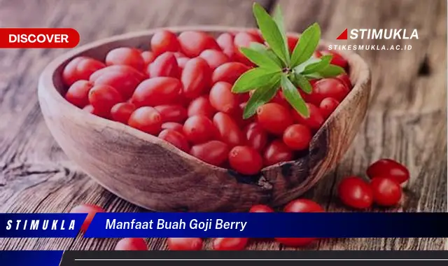 manfaat buah goji berry