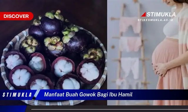 manfaat buah gowok bagi ibu hamil