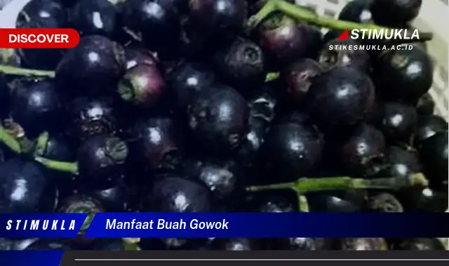 manfaat buah gowok