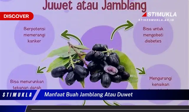 manfaat buah jamblang atau duwet