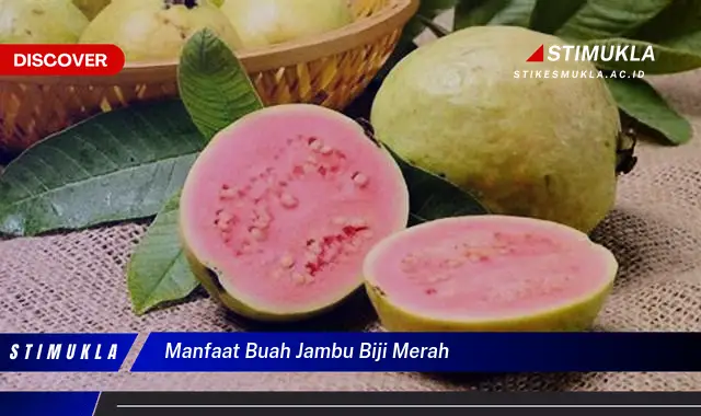 manfaat buah jambu biji merah