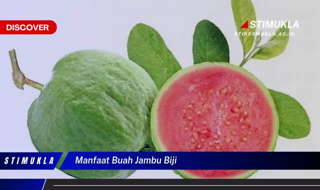 manfaat buah jambu biji