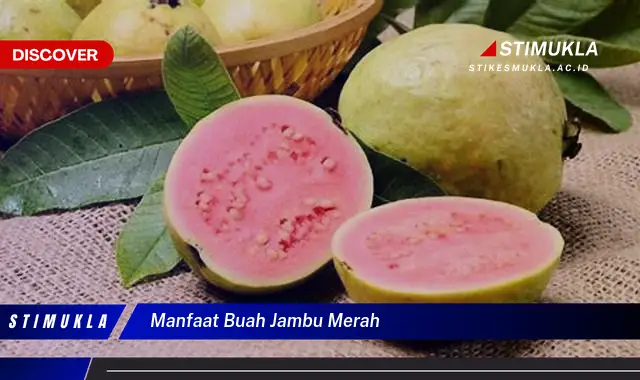 manfaat buah jambu merah