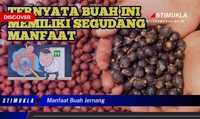 manfaat buah jernang