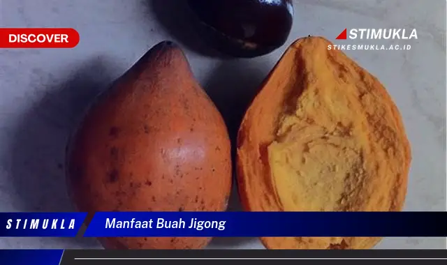 manfaat buah jigong