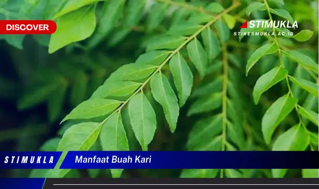 manfaat buah kari