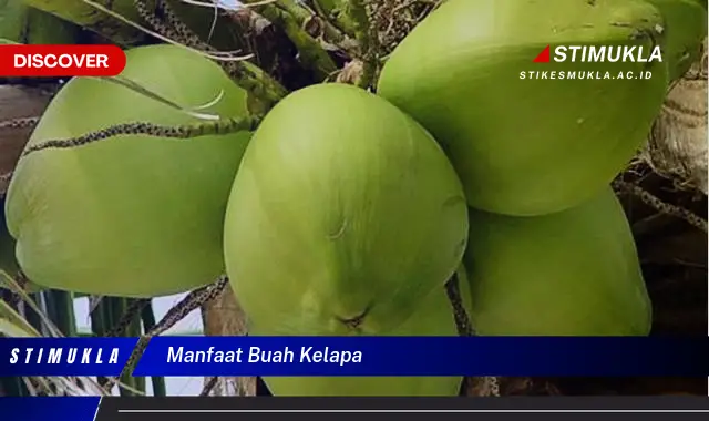 manfaat buah kelapa