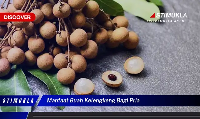 manfaat buah kelengkeng bagi pria