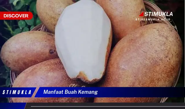 manfaat buah kemang