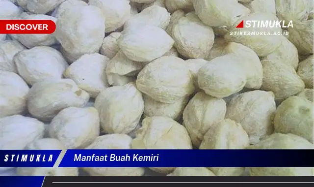 manfaat buah kemiri