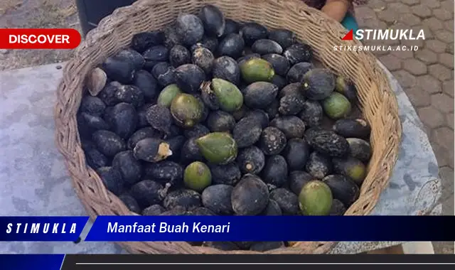 manfaat buah kenari