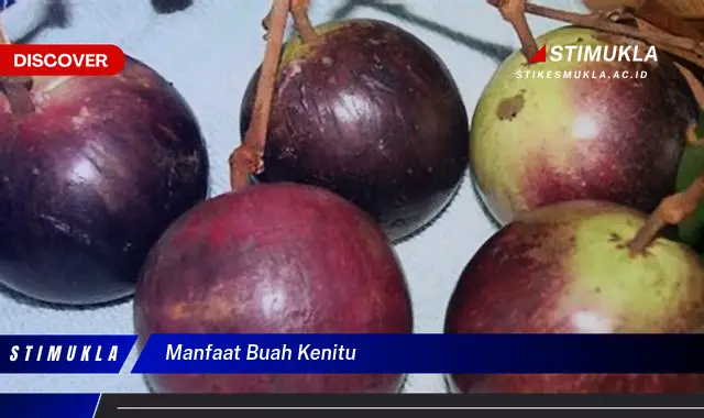 manfaat buah kenitu