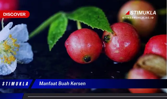 manfaat buah kersen