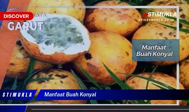 manfaat buah konyal