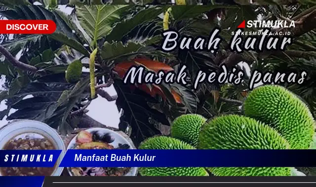 manfaat buah kulur