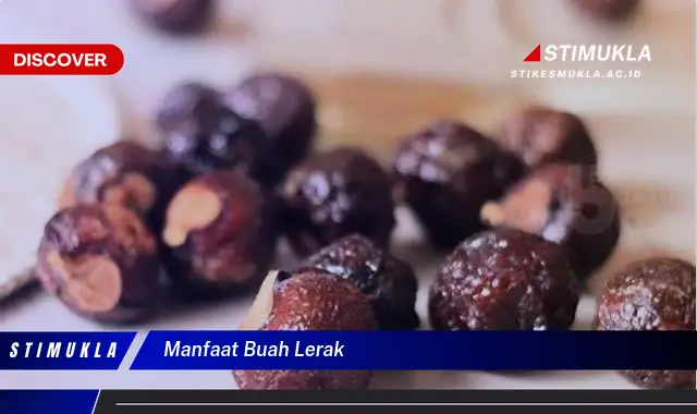 manfaat buah lerak