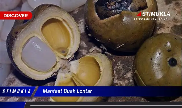 manfaat buah lontar