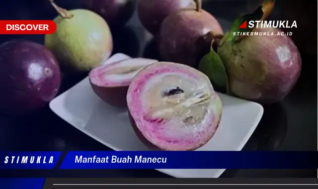 manfaat buah manecu