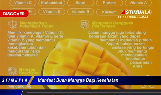 manfaat buah mangga bagi kesehatan