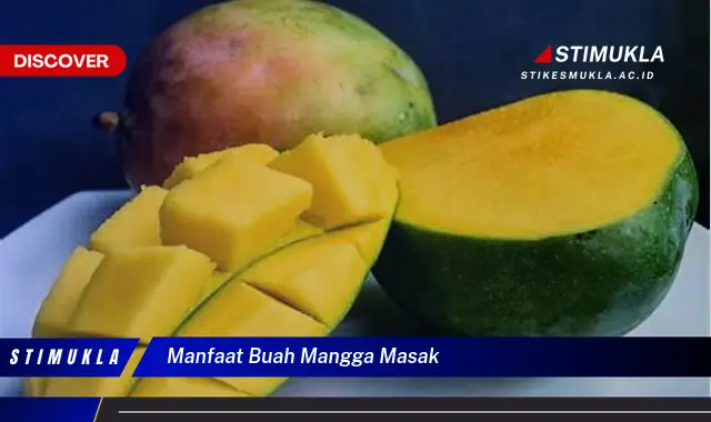 manfaat buah mangga masak