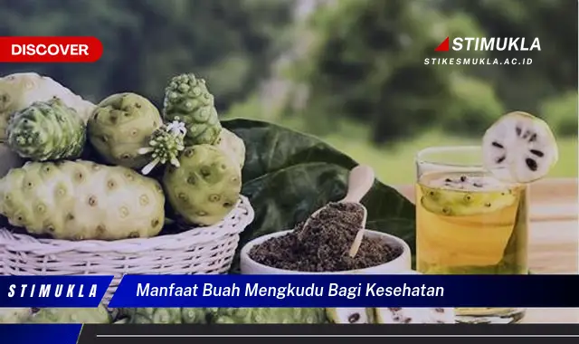 manfaat buah mengkudu bagi kesehatan