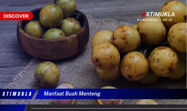 manfaat buah menteng