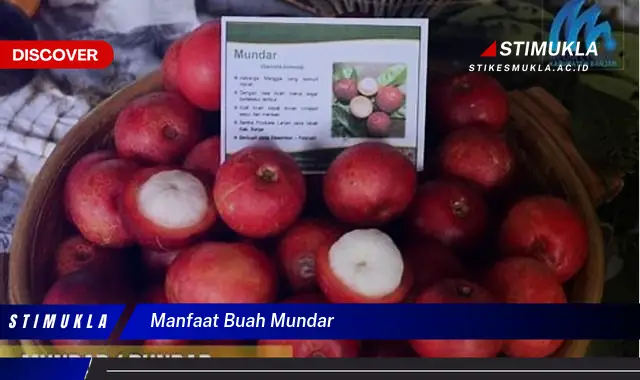 manfaat buah mundar