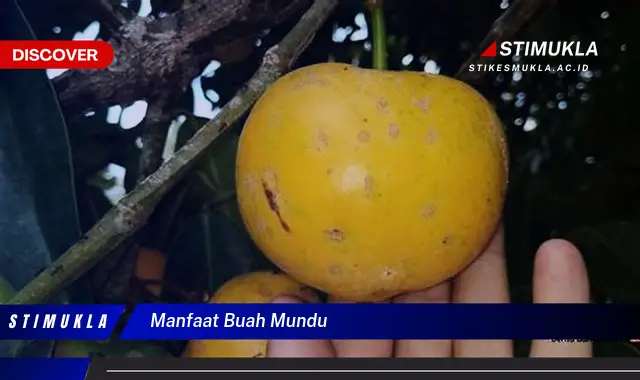 manfaat buah mundu