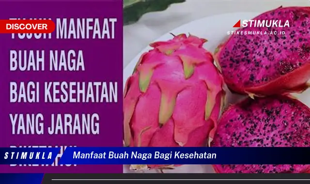manfaat buah naga bagi kesehatan manfaat buah naga bagi kesehatan
