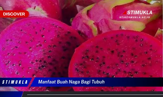 manfaat buah naga bagi tubuh