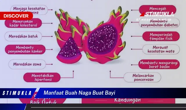 manfaat buah naga buat bayi