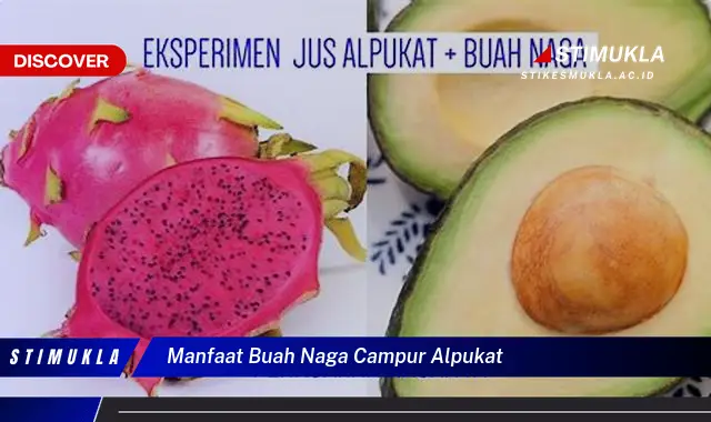 manfaat buah naga campur alpukat