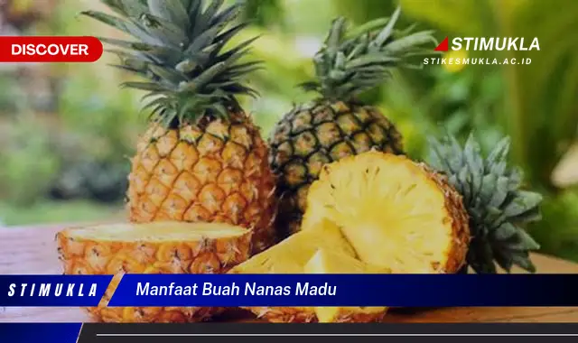 manfaat buah nanas madu