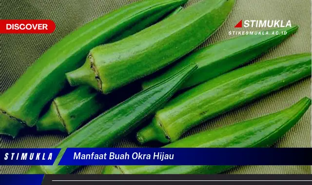 manfaat buah okra hijau