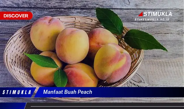 manfaat buah peach