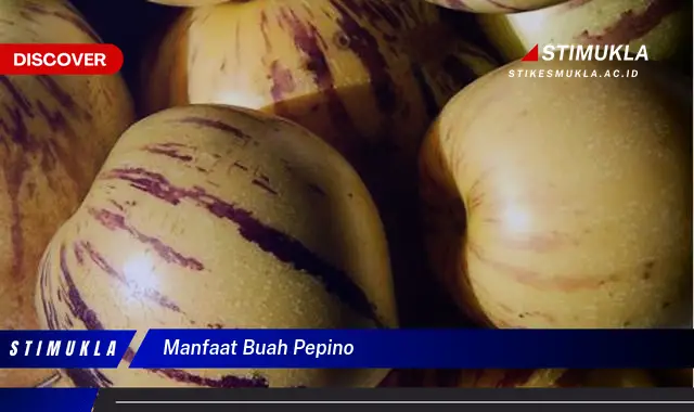 manfaat buah pepino