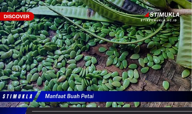 manfaat buah petai