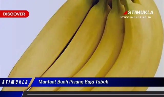 manfaat buah pisang bagi tubuh