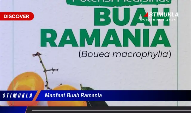 manfaat buah ramania