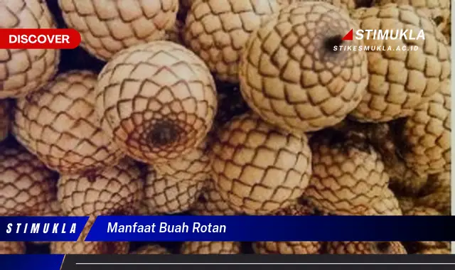 manfaat buah rotan