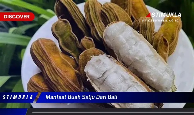 manfaat buah salju dari bali