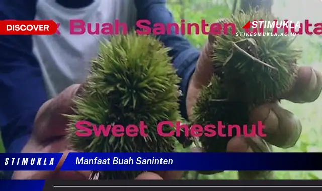 manfaat buah saninten