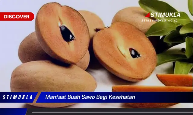 manfaat buah sawo bagi kesehatan