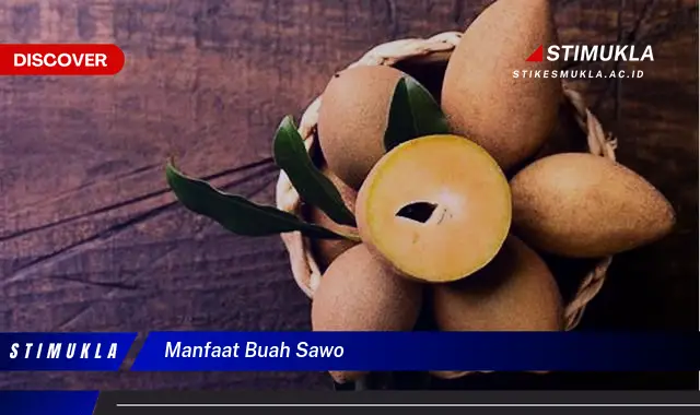 manfaat buah sawo
