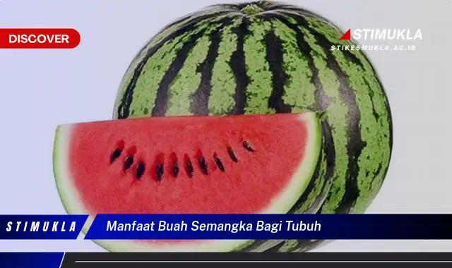 manfaat buah semangka bagi tubuh